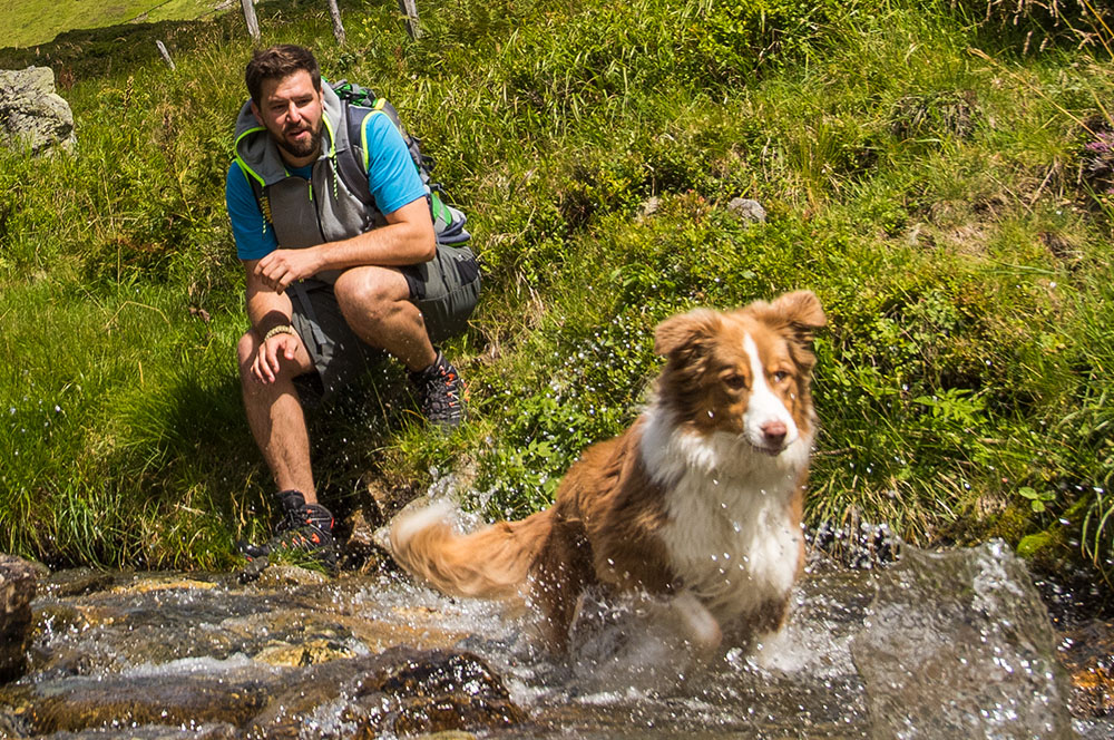 Wandern mit Hund (c) Fraz Gerdl | Kaernten Werbung